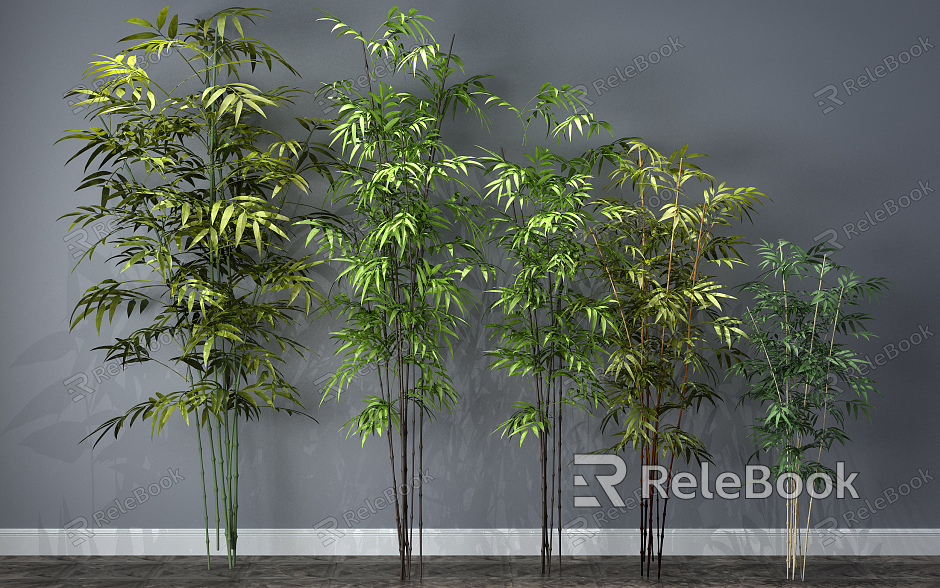 Modern Bamboo Plants model