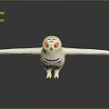 White Owl with Black Stripes Yellow Eyes and Spread Wings on Smooth Surface with Reflection