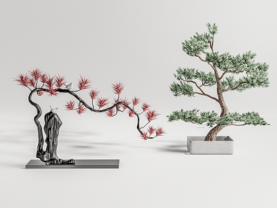 New Chinese Bonsai Pine Bonsai model