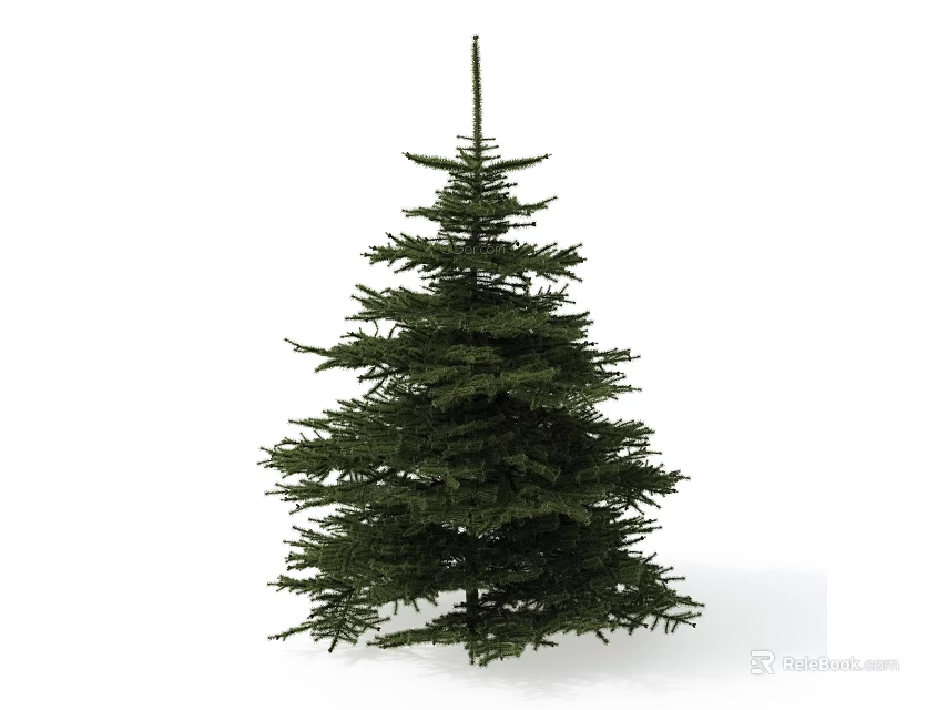 Lush Green Evergreen Coniferous Tree With Tall Pyramidal Shape And Dense Needles 3d model 