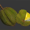 Fresh Durian Fruit One Whole and Half Cut Open Showing Yellow Flesh with Spiky Shell