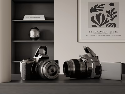 Digital Cameras Display In Modern Room With Art And Shelves 3d model