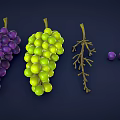 Cartoon Grape Stylized Grape Cartoon Fruit Low Poly Fruit Green Grape Purple Grape 3d model
