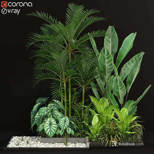 Tropical Green Plant Ornament Arrangement With Various Foliage For Indoor Decor 3d model 