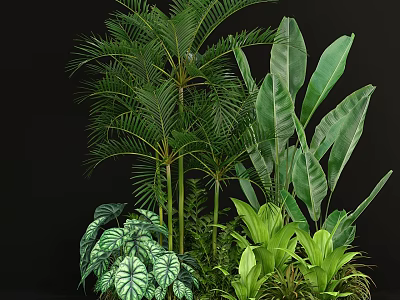 Tropical Green Plant Ornament Arrangement With Various Foliage For Indoor Decor 3d model