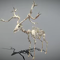 Deer Skeleton With Large Antlers And Detailed Skeletal Structure On Gray Background 3d model