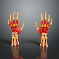 Detailed Human Hand Organ Skeletal Structure And Muscle Anatomy 3D Model