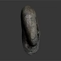 Ancient Marine Ammonite Fossil With Spiral Shell Texture On Gray Background