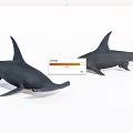 Realistic Hammerhead Shark Models With Unique Head Shape And Lifelike Features 3d model