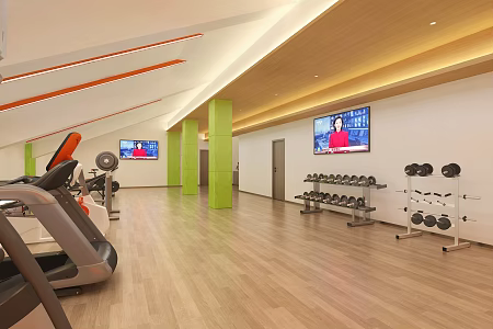 Attic Gym 3d model