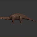 3D Brown Dinosaur Model With Long Neck Large Body On Reflective Surface 3d model