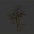 Dry Dead Tree Structure With Thick Trunk And Spreading Branches On White Background 3d model