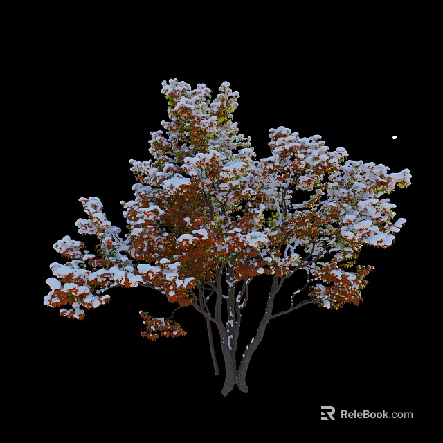 Beautiful Winter Arbor With Snow Covered Orange Red Leaves On Black Background 3d model 