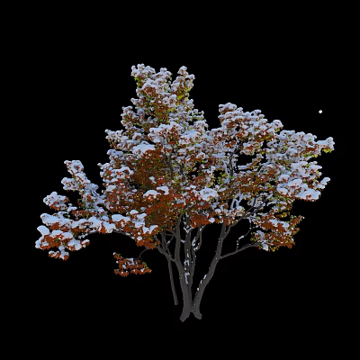 Beautiful Winter Arbor With Snow Covered Orange Red Leaves On Black Background 3d model
