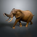 Brown Elephant With Long Ivory Tusks And Curved Trunk Walking On Gray Background