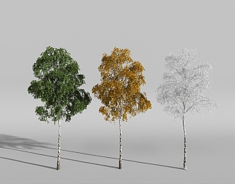 plant four seasons landscape tree spring summer autumn winter 3d model