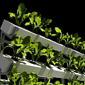 Modern Vertical Agricultural Equipment with Multi Layer Shelves Growing Green Plants