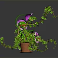 Green Vine Plant With Purple Flowers In Brown Pot And Trailing Leaves