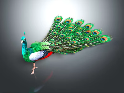 Stunning Peacock Displaying Vibrant Green Blue Feathers With Fanned Tail Eye Spots 3d model