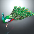 Stunning Peacock Displaying Vibrant Green Blue Feathers With Fanned Tail Eye Spots