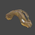 Shark Jaw Fossil With Sharp Teeth On Display In Museum Setting