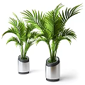 Bonsai Potted Plants with Green Palm Leaves in Silver Cylindrical Decorative Pots