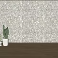 Neutral Toned Textured Interior Wall Decor with Wooden Floor and Potted Cactus Plants