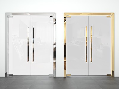 Modern double door glass door 3d model