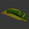 Vibrant Green Caterpillar Crawling On Fresh Green Leaf With Yellow Spots