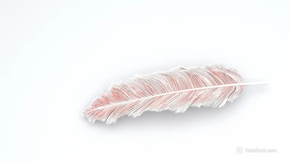 Delicate Soft Pink And White Striped Feather On Clean White Background 3d model 
