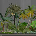 Tropical Plants Including Palm Banana Trees And Ferns In Small Garden With Gray Wall Background
