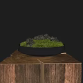 Natural Moss Decorative Bowl with Stones Placed on Wooden Stump
