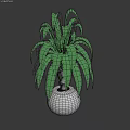 Elegant Floral Display With Green Plant In White Spherical Vase For Interior Decoration