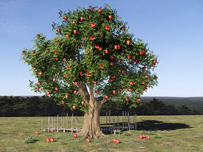 Garden Landscape Featuring Fruit Tree With Red Fruits Wooden Fence And Green Grassland 3d model
