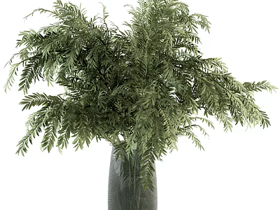Lush Green Ferns Arranged In Modern Glass Vase For Home Decor 3d model