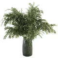 Lush Green Ferns Arranged In Modern Glass Vase For Home Decor