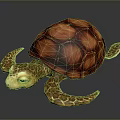 Colorful Sea Turtle With Textured Red Shell And Yellow Patterned Limbs On Dark Background