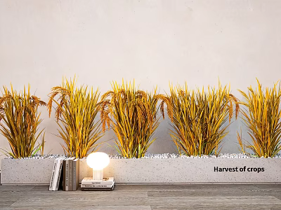 Plant Combination of Harvest Crops in Concrete Planter with White Pebbles Books and Table Lamp 3d model