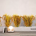 Plant Combination of Harvest Crops in Concrete Planter with White Pebbles Books and Table Lamp