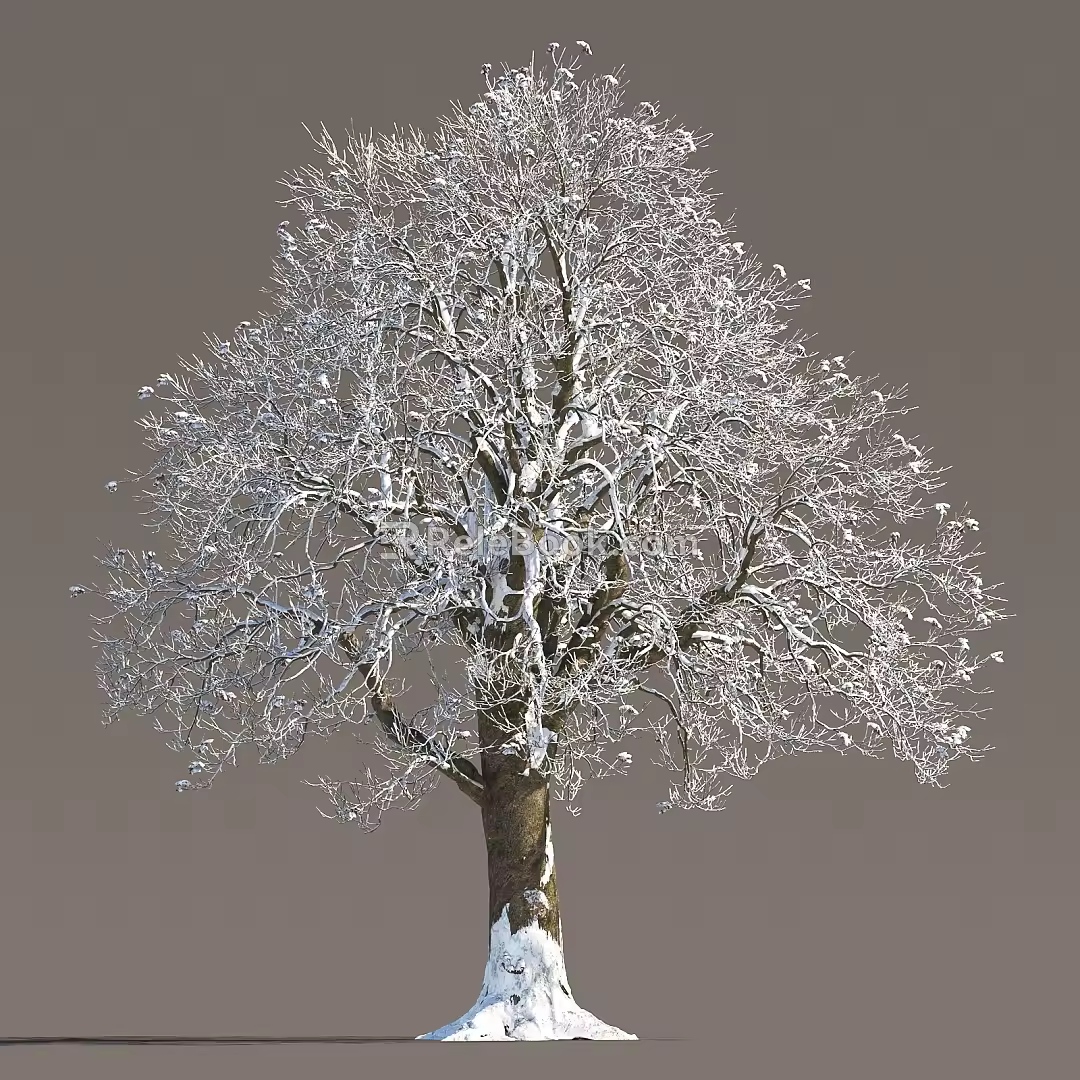 winter snow trees winter trees snow trees deciduous trees winter trees landscape trees snow trees dead trees street trees 3d model