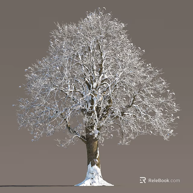 Snow Covered Arbor with Snow Accumulated on Branches against Gray Background 3d model 