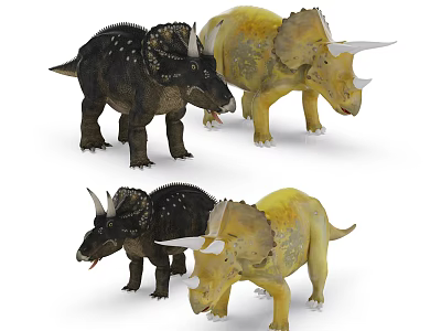 Detailed 3D Triceratops Dinosaur Models Character Designs With Black Yellow Colors And Different Poses 3d model