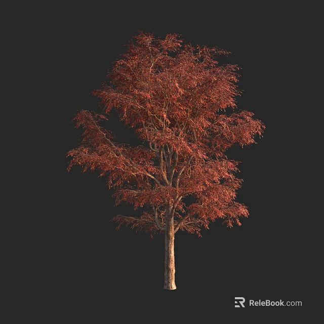 Arbor with Red Leaves Isolated on Black Background 3D Render and Detailed Branches 3d model 