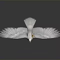 White Eagle With Spread Wings And Yellow Claws On Gray Background