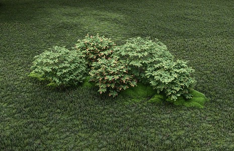 modern shrub assemblage 3d model