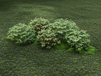 modern shrub assemblage 3d model
