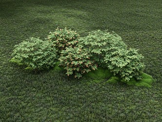 modern shrub assemblage 3d model