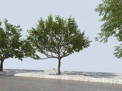 Cherry Trees With Green Leaves And Red Fruits Growing On Stone Pavement 3d model