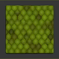 Organ And Hair Inspired Green Scaled Cube With Detailed Textured Surface Design