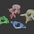 Anatomical White Human Vertebrae Organ Models For Medical Educational Study And